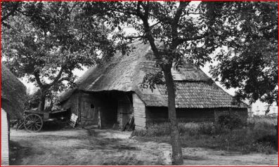 De Vlaamse schuur in 1981
